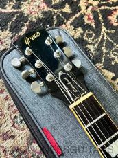Greco EG800T 1978_5