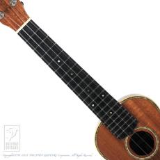 Leilani Concert 【セール開催中!36回無金利対象品】_5