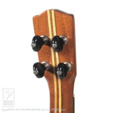 Leilani Concert 【セール開催中!36回無金利対象品】_8