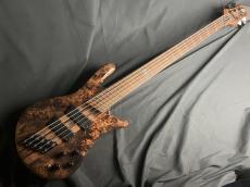 Spector NS DIMENSION 5_2