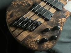 Spector NS DIMENSION 5_3