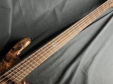 Spector NS DIMENSION 5_5