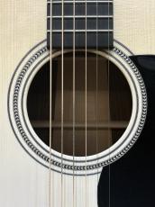 Headway 【一点物オーダー品】Custom Shop HF-丹頂鶴 Custom Build By Arata Furihata_4