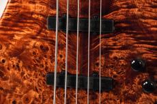Ibanez MDM1605 -Natural Mocha Low Gloss- [3.75kg]_7