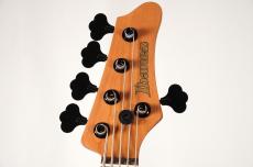 Ibanez MDM1605 -Natural Mocha Low Gloss- [3.75kg]_11