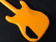 Epiphone Newport Bass California Coral_7