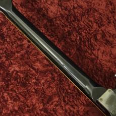 FERNANDES TE-95HT_7
