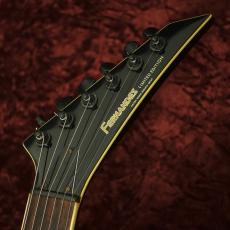 FERNANDES TE-95HT_8