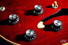 Gibson ES-330_7