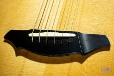 Breedlove Ed Gerhard Exotic Signature_5