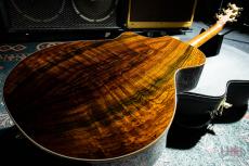 Breedlove Ed Gerhard Exotic Signature_6