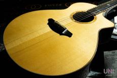 Breedlove Ed Gerhard Exotic Signature_7