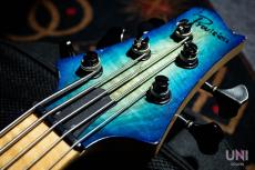 Provision Custom Order Bass_4