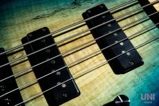 Provision Custom Order Bass_5