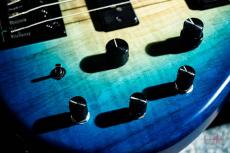 Provision Custom Order Bass_7