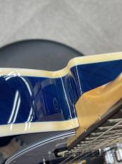 FUJIGEN NTE21RAH Mod SBB 【中古品】_8