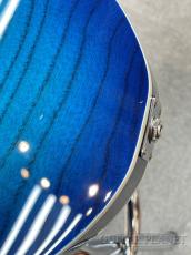 FUJIGEN NTE21RAH Mod SBB 【中古品】_9