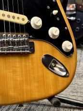 FERNANDES 【中古特価市】 1974 FST-60 -N (Natural)- 【Refrets!】【Japan Vintage!】_9