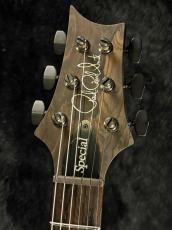 Paul Reed Smith [PRS] Special Semi Hollow Mango Limited Edition -Charcoal Purple Burst-【限定200本】【3.11Kg】_7