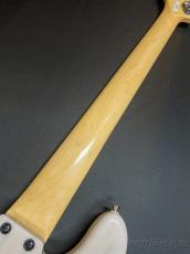 FUJIGEN NJB100MBAH V -White Blonde-【4.81kg】_9