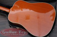 Gibson Hummingbird HCS '16_3