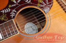 Gibson Hummingbird HCS '16_9