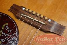 Gibson Hummingbird HCS '16_10