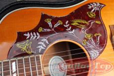 Gibson Hummingbird HCS '16_11