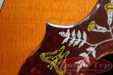 Gibson Hummingbird HCS '16_13