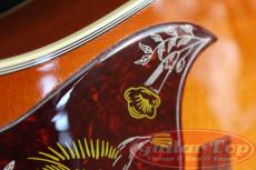 Gibson Hummingbird HCS '16_14