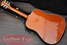 Gibson Hummingbird HCS '16_17