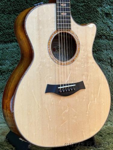 Taylor 【現地オーダー品】Catch Custom #36 The Bengal / C14ce B5036 -Bearclaw Spruce/Tasmanian Tiger Myrtle-#1201295104