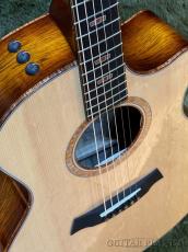 Taylor 【現地オーダー品】Catch Custom #36 The Bengal / C14ce B5036 -Bearclaw Spruce/Tasmanian Tiger Myrtle-#1201295104_3