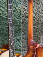 Taylor 【現地オーダー品】Catch Custom #36 The Bengal / C14ce B5036 -Bearclaw Spruce/Tasmanian Tiger Myrtle-#1201295104_8