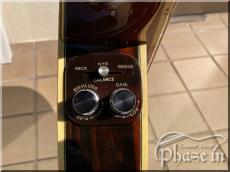 Washburn MONTEREY CUSTOM STUDIO_8