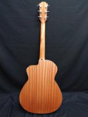 Taylor 14ce_2