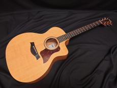 Taylor 14ce_3
