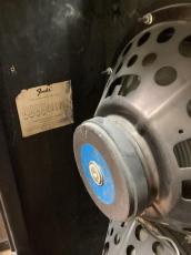 Fender Quad reverb_3
