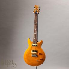 Paul Reed Smith [PRS] SE Santana