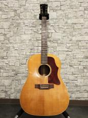 Gibson 1969 J-50_12