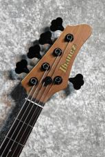 Ibanez MDM1605-NML Natural Mocha Low Gloss #I 260113396【3.95kg】【5弦】【Mode SERIES】【美杢目個体】_4
