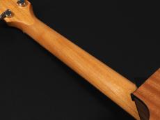 Taylor 114ce_9