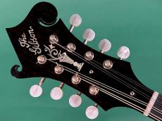 Gibson F-5G_5