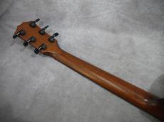 Taylor LTD 314ce K/TRS SEB _10