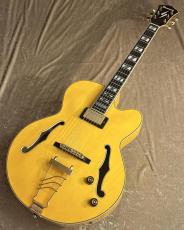 Ibanez 【USED】Pat Metheny PM2-AA  Antique Amber 2013年製 [2.83kg][パットメセニー]【G-CLUB TOKYO】_2