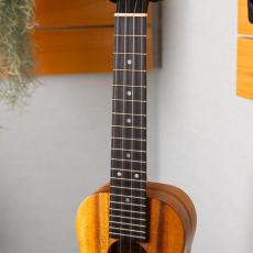 Kanile'a K-1C Natural_4
