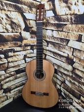 Fernando Rubin フェルナンド・ルービン 松・中南米ローズ 20フレット【日本総本店2F 在庫品】_2