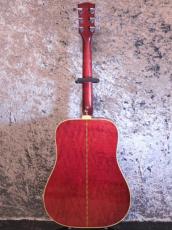 Gibson Dove '70_2