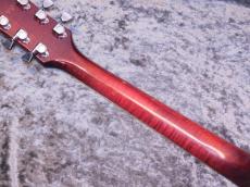 Gibson Dove '70_10