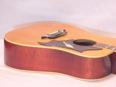 Gibson Dove '70_12
